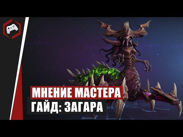 МНЕНИЕ МАСТЕРА #175: «bbluz» (Гайд - Загара) | Heroes of the Storm