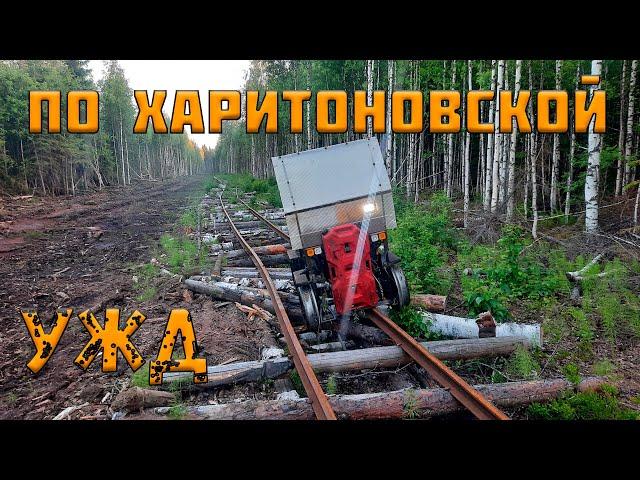 Обзор линии Харитоновской (Нюбской) УЖД. На дрезине до конца! Серия 2.