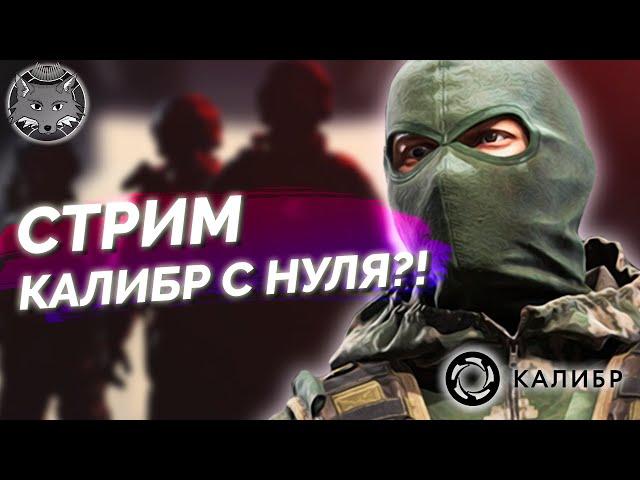 Стрим калибр!  Как живется новичку в игре?!