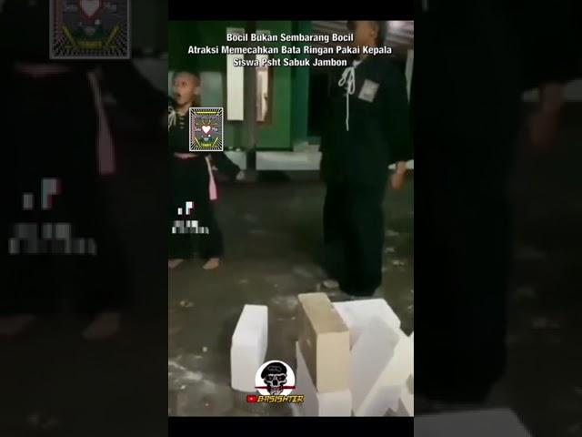 Bocil Bukan Sembarang Bocil Atraksi Memecahkan Bata Ringan Pakai Kepala, Siswa Psht Sabuk Jambon