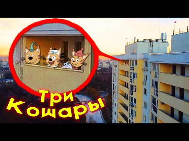 ТРИ КОШАРЫ НАВОДЯТ СУЕТУ на ДОМЕ ! Дрон снял 3 кота на камеру !