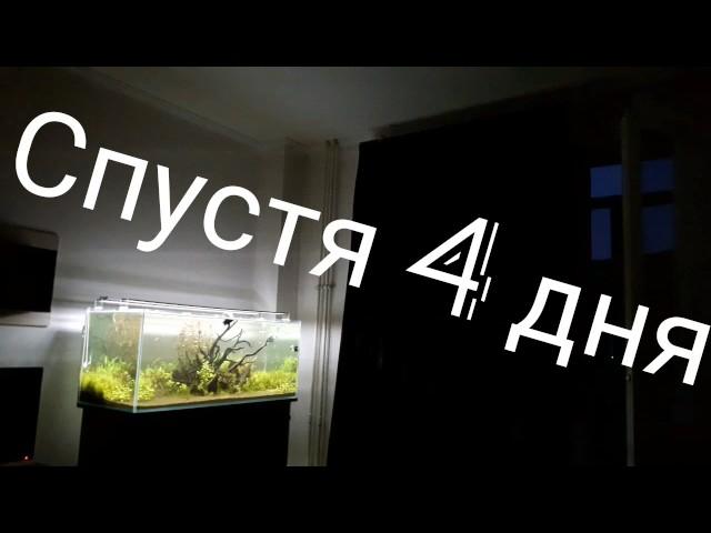 УФ стерилизатор. Работа в течение 4х суток