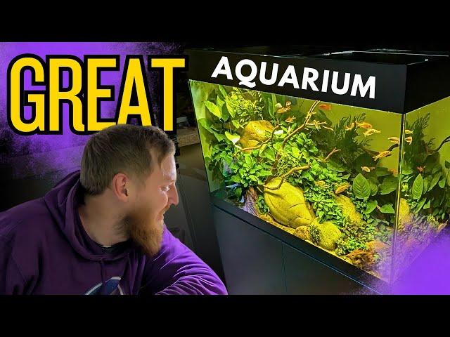 One of my FAVOURITE aquariums and WHY! Oase Styleline product review.