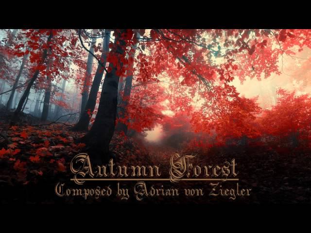 Relaxing Celtic Music - Autumn Forest