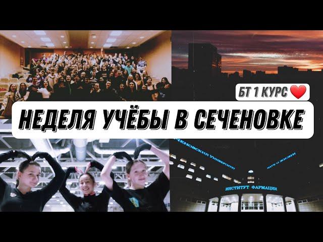 Неделя Учёбы в Сеченовском Университете!️|Биотехнология 1 курс️|ШПА 2022|Первые контрольные