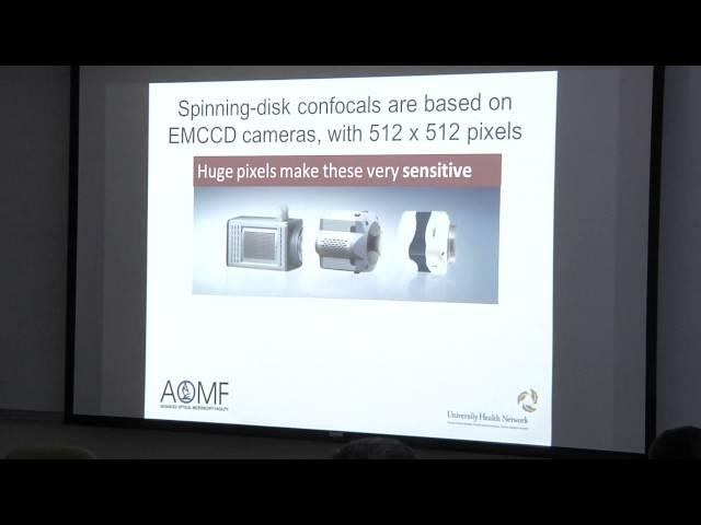 A Comparison of Microscopy Optical Sectioning Techniques