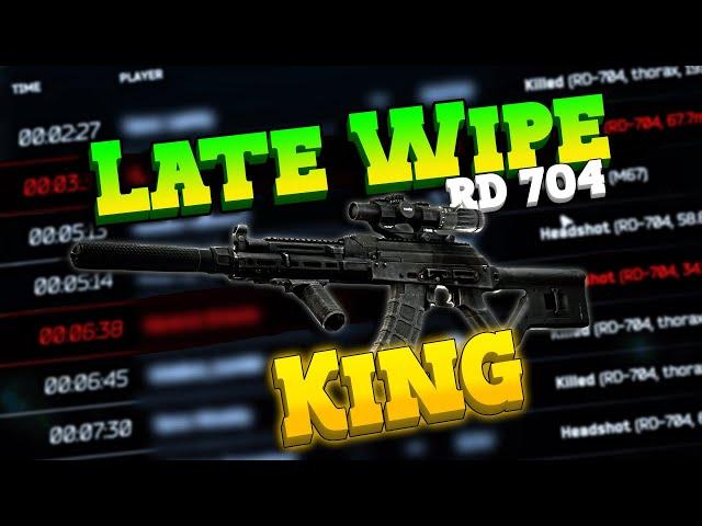 The RD-704 Rules Late Wipe Tarkov (Loadout & Raid Guide)