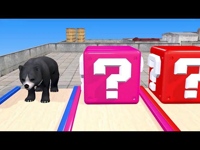 Cow Mammoth Elephant Lion Buffalo Fox Guess The Right Door ESCAPE ROOM CHALLENGE Animals - EP10