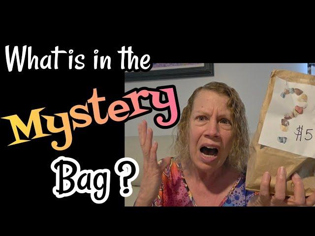 What's in the MYSTERY ‍ Bag? Let's FIND Out & have FUN Together!  Please & Comment ️ #mysterybox