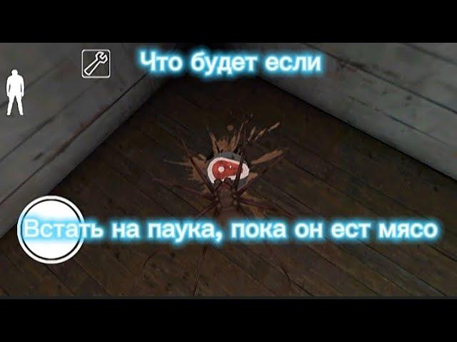 Granny эксперименты. Что будет если встать на паука, пока он ест мясо???️