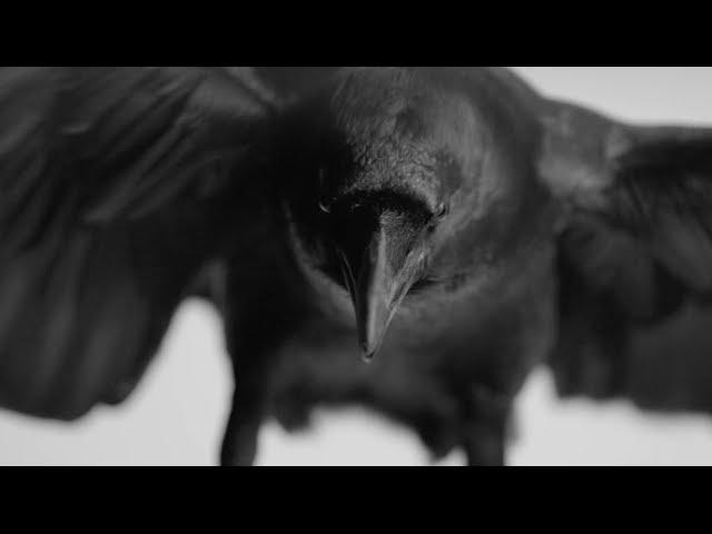 Amenra "À Mon Âme"