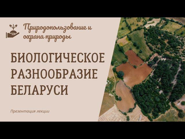 Биологическое разнообразие Беларуси. Природопользование и охрана природы