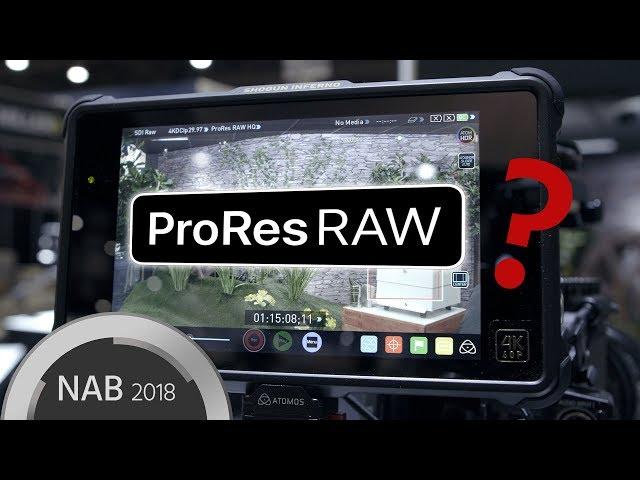 ProRes RAW Explained – Plus Footage