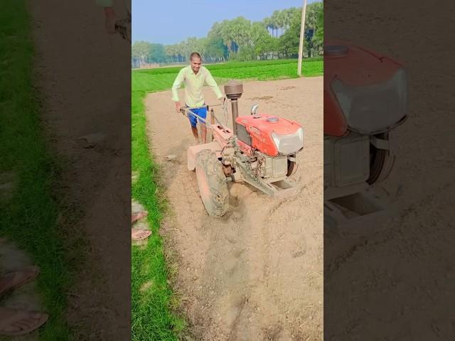 खेत की जुताई #agriculture #vairalshort #villagelife #shortvideo #short #youtubeshorts