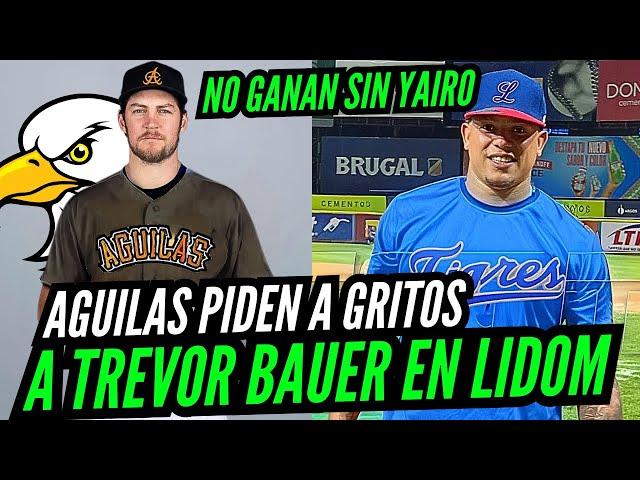 AGUILAS LLAMAN A TREVOR BAUER Tras REGRESAR AL Sotano DE LIDOM lYAIRO MUÑOZ Camino Al Licey