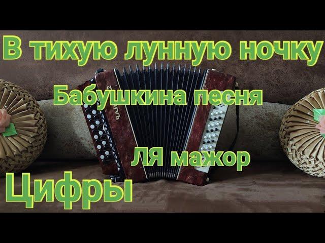 В тихую лунную ночку на гармони. Бабушкина песня. (Цифры в описании) В тихую лунную ночку цифры.