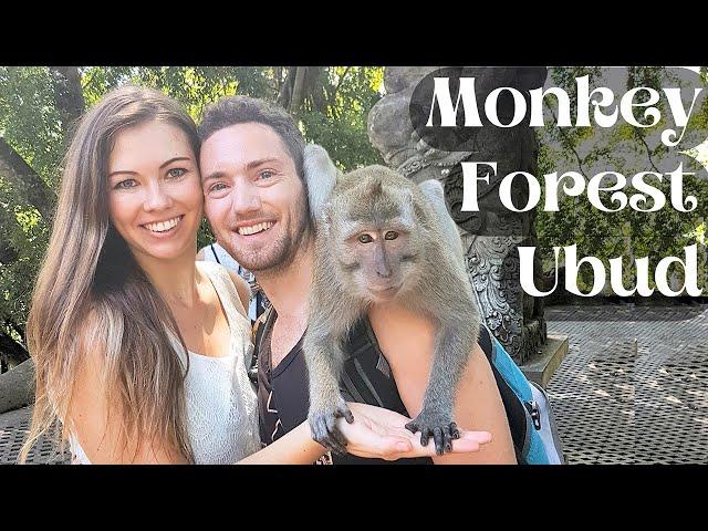 Monkey Forest Ubud Sanctuary | Bali Indonesia