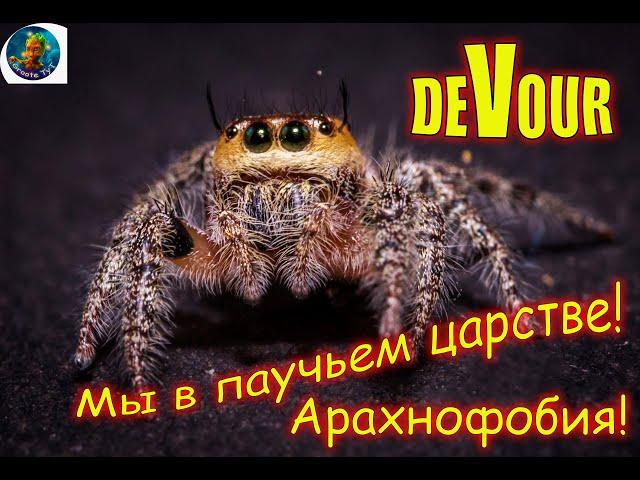 DEVOUR Хоррор - Она просто ужасна - Арахнофобия