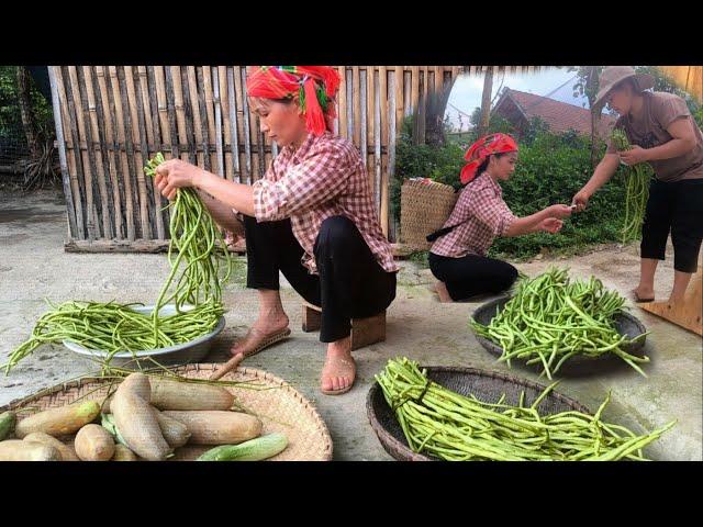 Single mother picks vegetables in the garden to sell and then saves the money to buy back the land