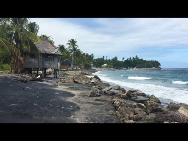 Amazing Philippines! Dumaguete Dauin and Malatapay (The Philippines 2020)