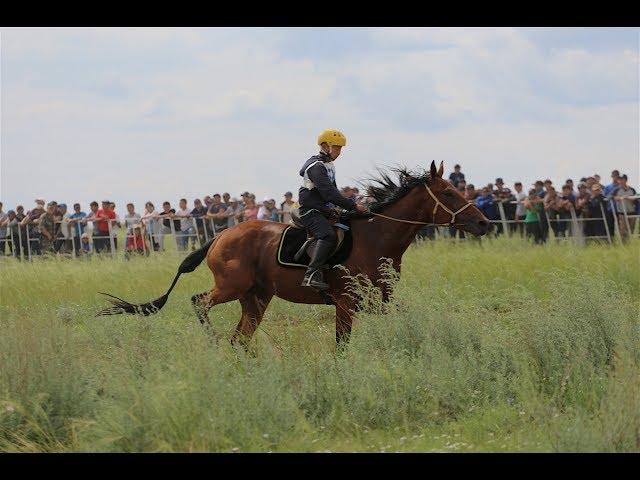 Наадым 2019 Аът чарыжы