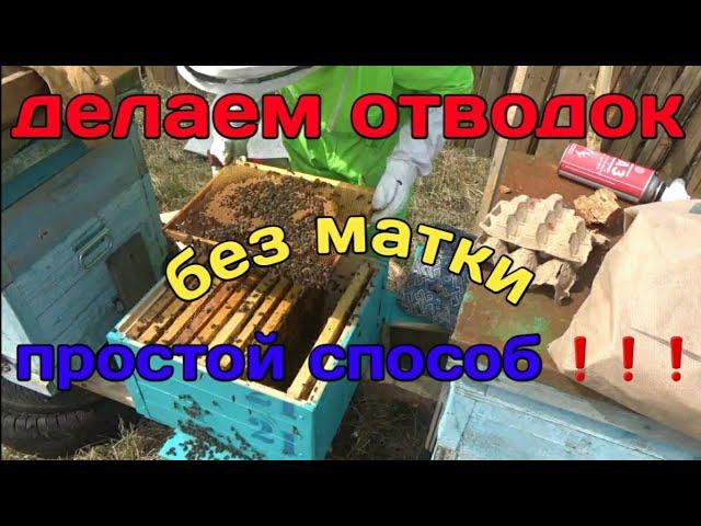 Делаем самый простой отводок,,,+1 семья