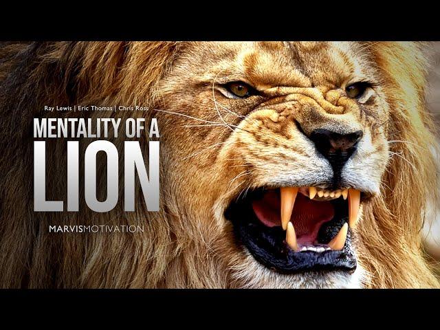 MENTALITY OF A LION - Motivational Video