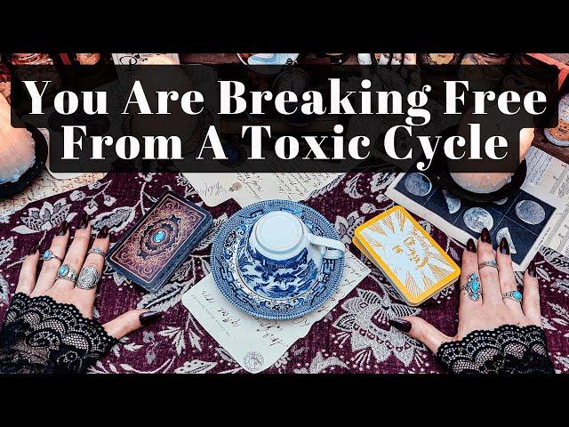 You Are About To Break Free From A Toxic Cycle And Start A More Fulfilling Path...