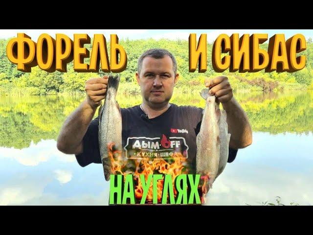 Форель и Сибас на мангале! Нежнейший шашлычок!