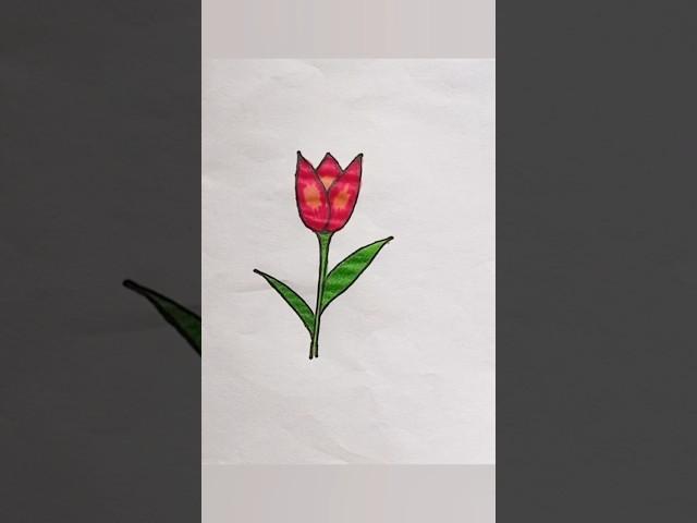 tulip  flower drawing with w letter ##tulip #flower #art #easy #letterdrawing #creativeart #shorts