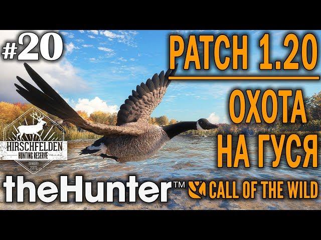 theHunter call of the wild #20  - Патч 1.20 Охота на Гуся - Ружье + Дробь - Канадская Казарка