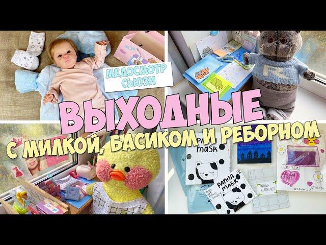 Выходные с Милкой, Басиком и реборном!