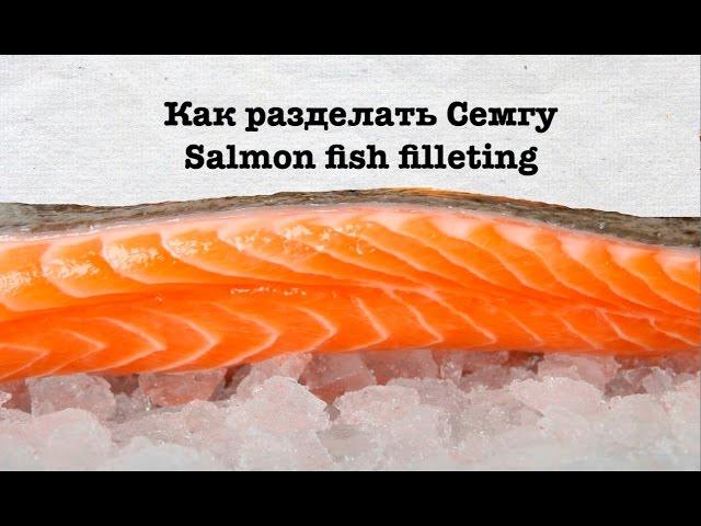 Как разделать Семгу. Мастер-класс по разделке Семги. Fish filleting. How to fillet a Salmon fish