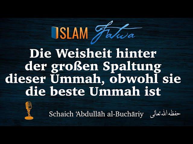 Die Weisheit hinter der großen Spaltung dieser Ummah, obwohl sie die beste Ummah ist