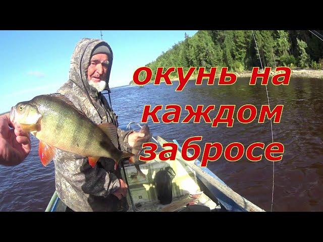 Окунь на каждом забросе.  На рыбалку с дедом.