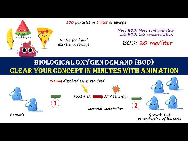 Biological Oxygen Demand (BOD) | Learn easy learn smart