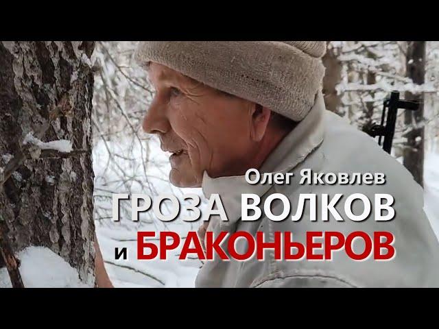 ГРОЗА ВОЛКОВ И БРАКОНЬЕРОВ. ХОЗЯЕВА ТАЙГИ.