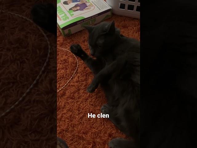 Sochi clen