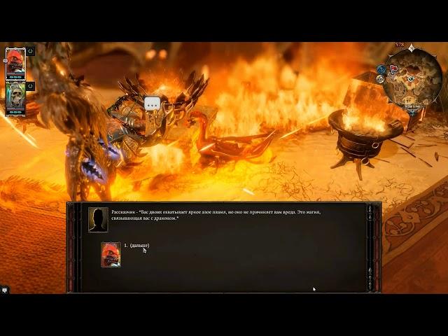 Divinity Original Sin 2#Консульство#Красный принц