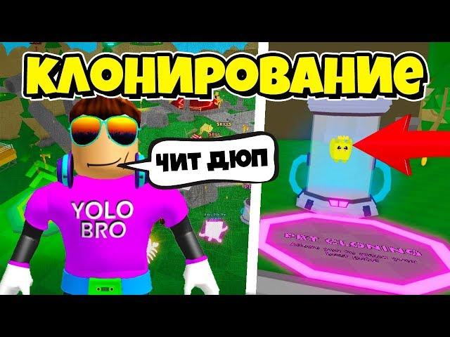 АДМИН РАЗРЕШИЛ ДЮПАТЬ ПЕТОВ В СИМУЛЯТОРЕ ЧЕМПИОНА В РОБЛОКС! ROBLOX