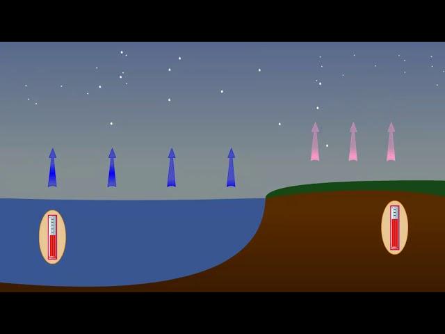 Effect of convection on wind formation