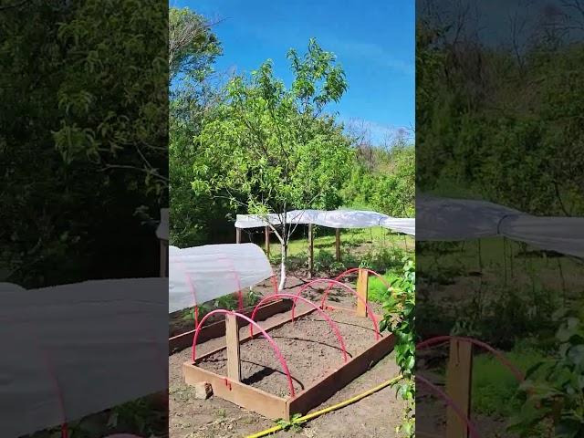отдых #переезднаюг #дача #частныедома #новыедеревенские #shortvideo