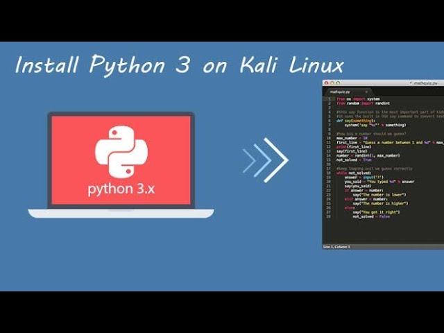 Install Python 3 on Kali Linux: A Step-by-Step Guide