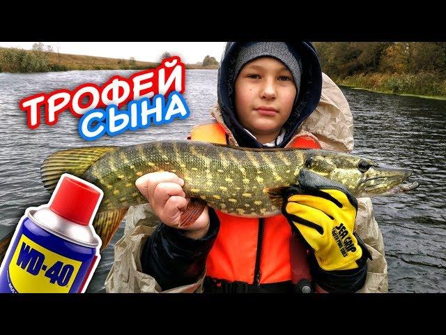 Первый трофей сына! Щука на WD40. Ловля щуки на воблеры! Рыбалка на щуку! | Рыбалка осень 2017