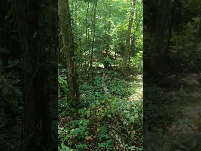 Shelby hillclimb at Buffalo Wildnerness Arkansas #enduro #dirtbike #kawasaki