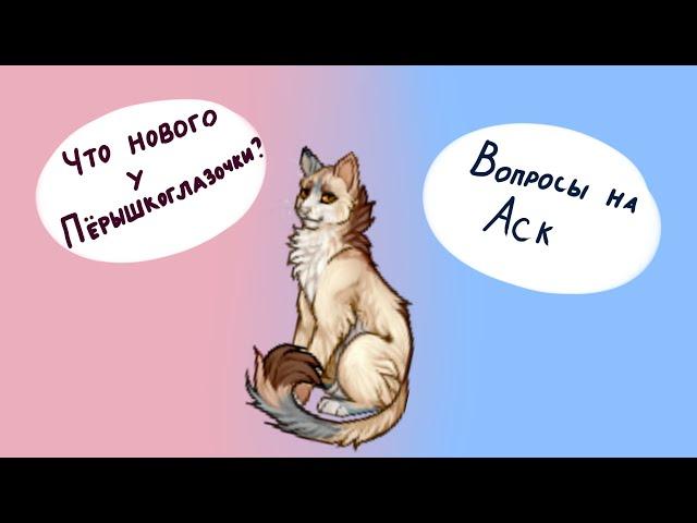 Что нового у Пёрышкоглазочки? Вопросы на аск! / CatWar