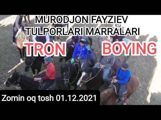 URGUTLIK MURODJON FAYZIEV TULPORLARI MARRALARI,#ZOMIN OQ TOSH 01.12.2021