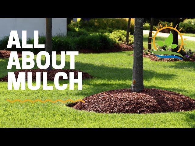 EVERYTHING MULCH | Types and How to Choose