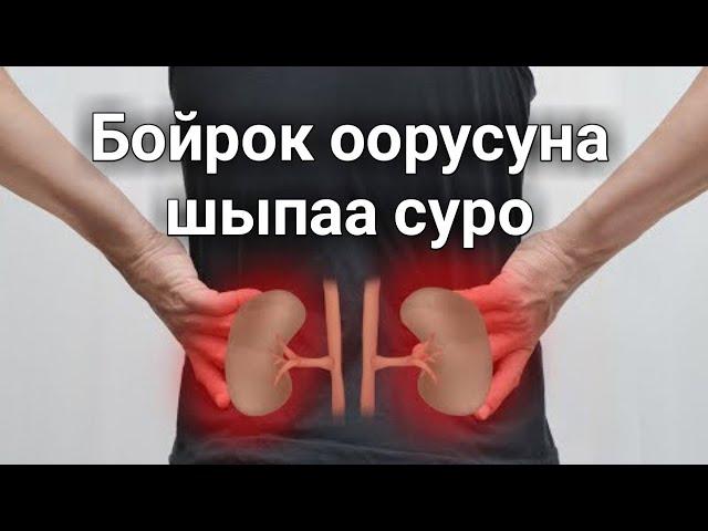 Бойрок оорусуна шыпаа суро