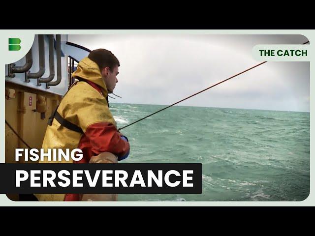 Life on the Edge of the Sea - The Catch - Fishing Show